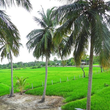 Green Sapphire Holiday Resort Wilpaththu Wilpattu Exteriér fotografie