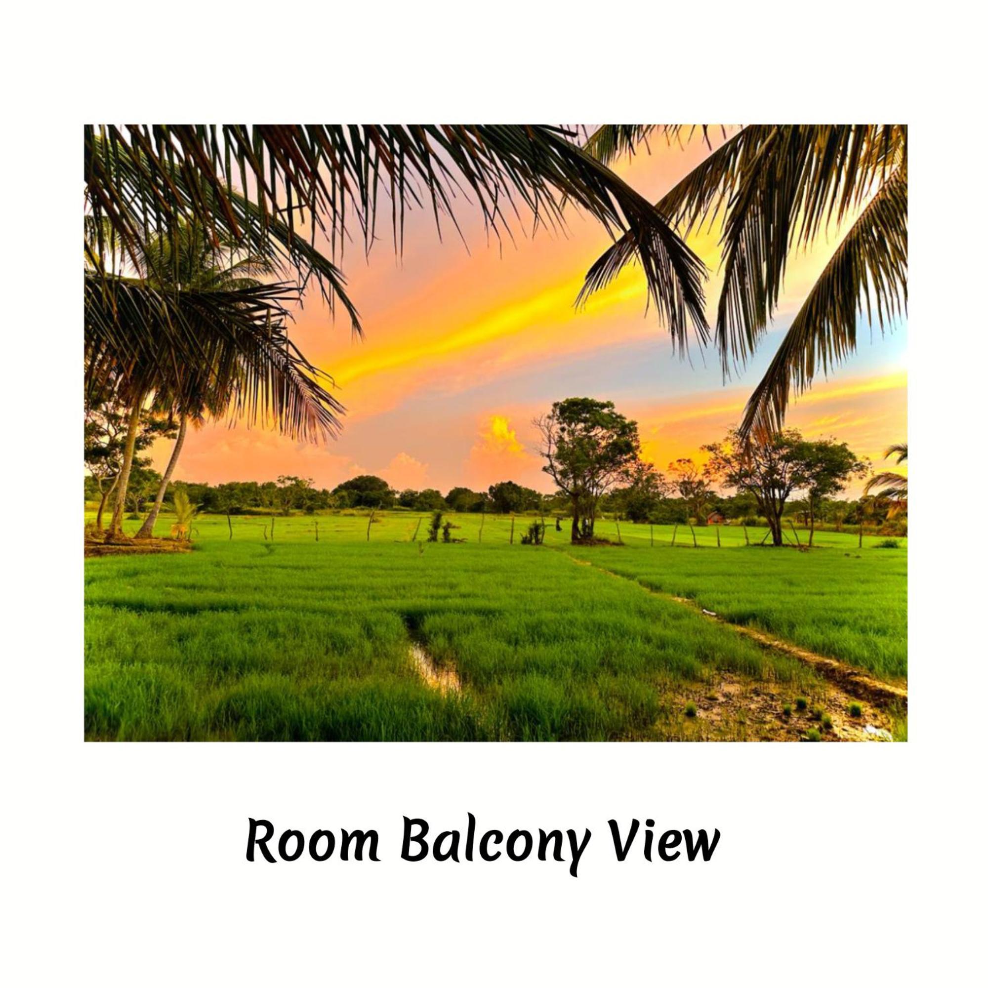 Green Sapphire Holiday Resort Wilpaththu Wilpattu Exteriér fotografie