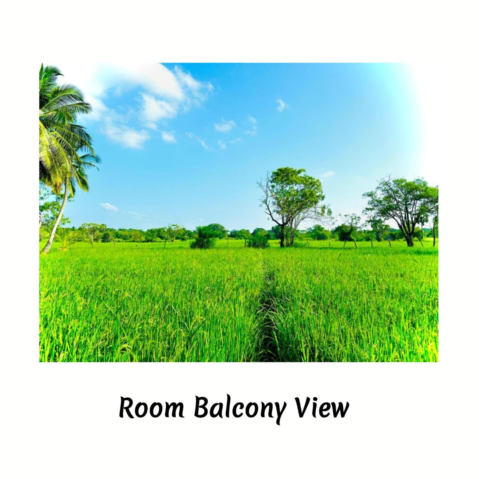 Green Sapphire Holiday Resort Wilpaththu Wilpattu Exteriér fotografie