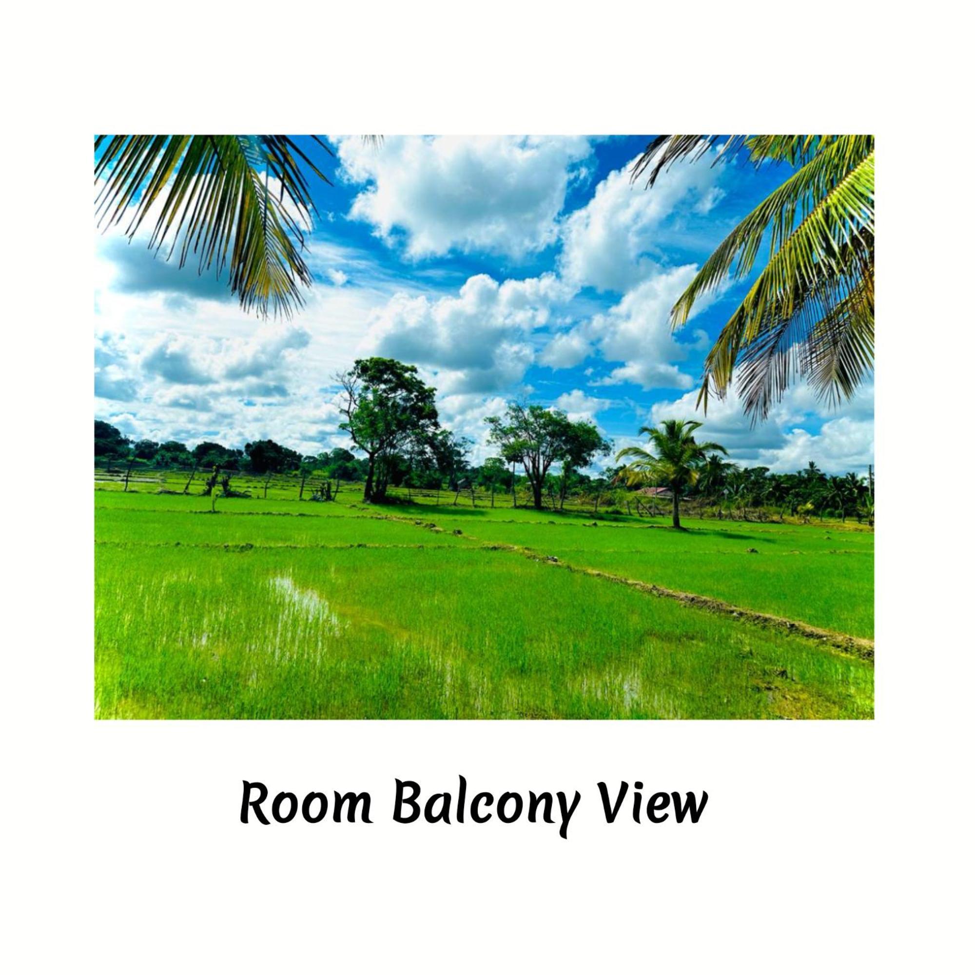 Green Sapphire Holiday Resort Wilpaththu Wilpattu Exteriér fotografie