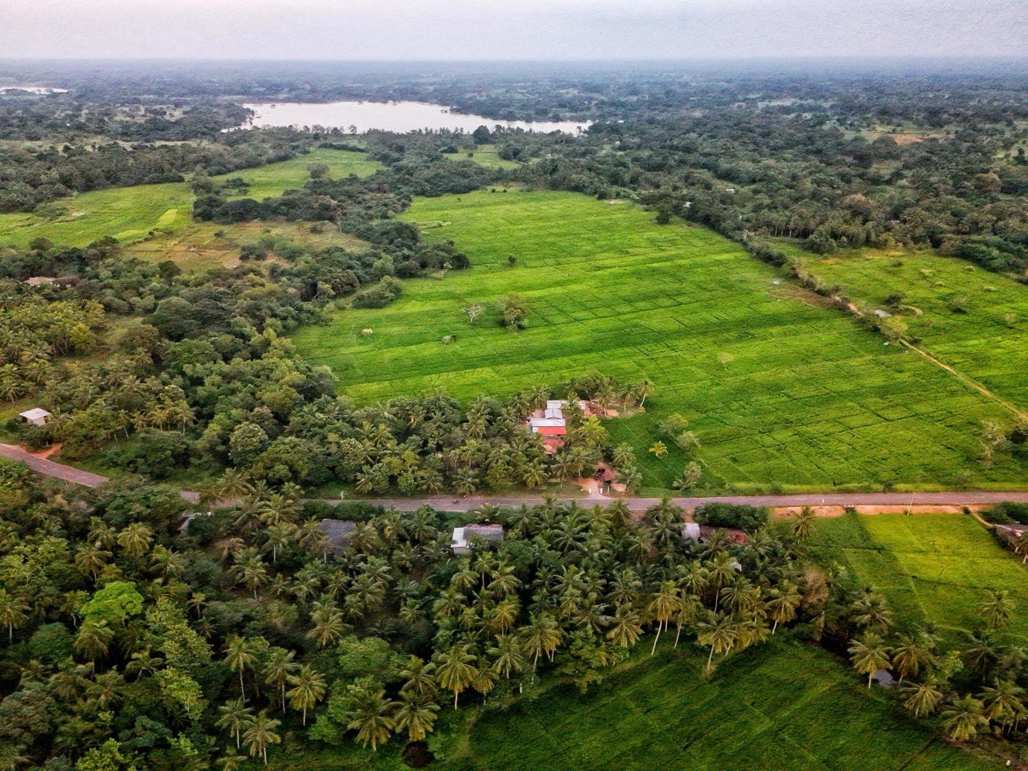 Green Sapphire Holiday Resort Wilpaththu Wilpattu Exteriér fotografie