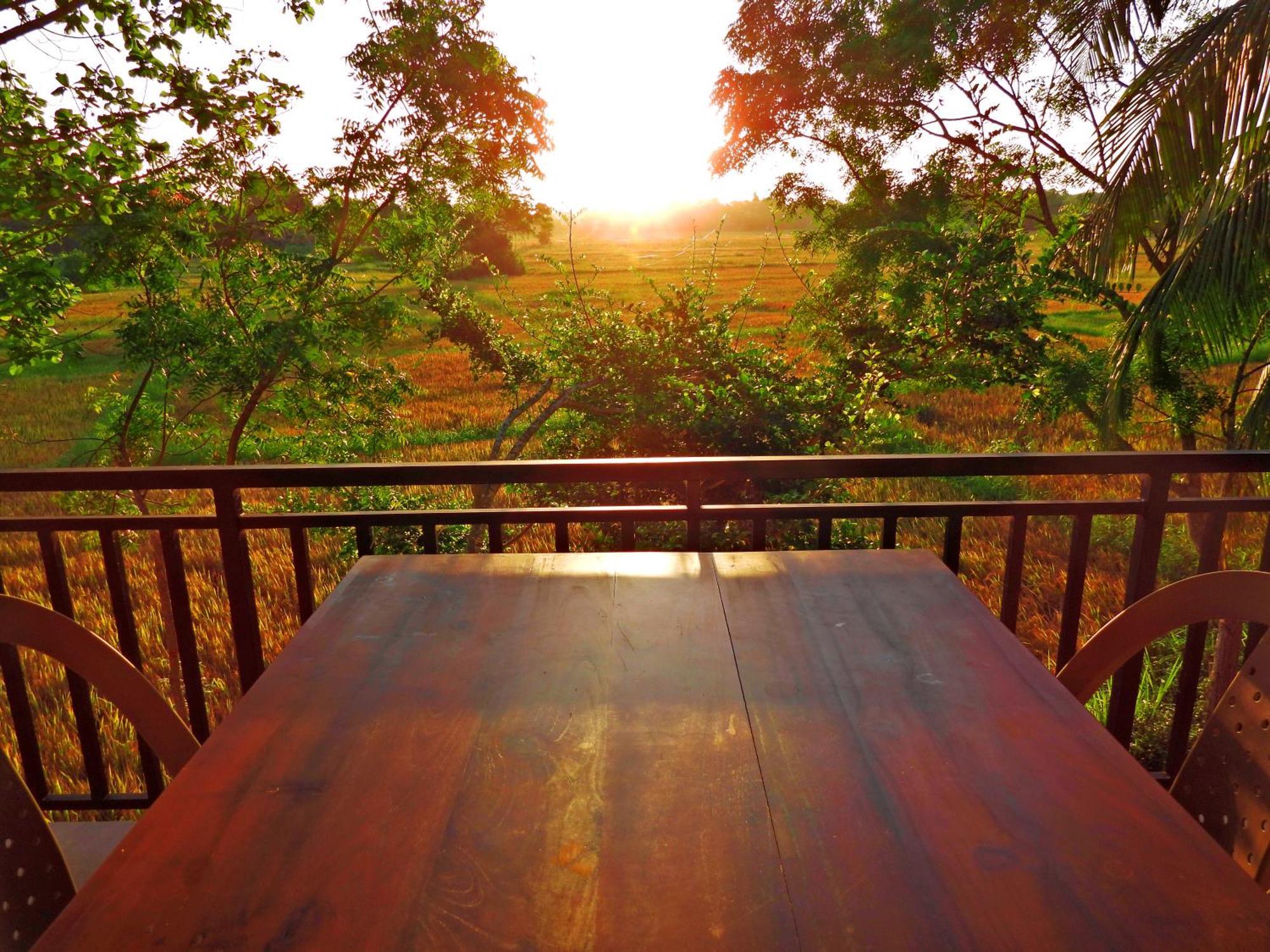 Green Sapphire Holiday Resort Wilpaththu Wilpattu Exteriér fotografie
